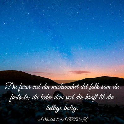 Picture 03 - 2 Mosebok 15:13 NORSK - Du fører ved din miskunnhet det folk som du - Bible Verse Picture