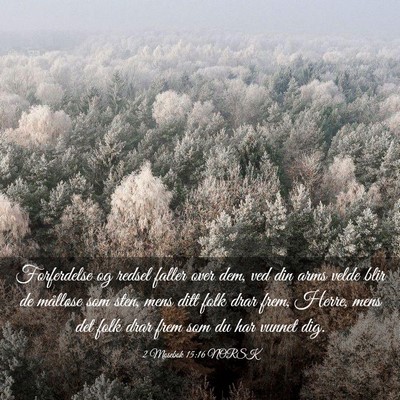 Picture 03 - 2 Mosebok 15:16 NORSK - Forferdelse og redsel faller over dem, ved din - Bible Verse Picture