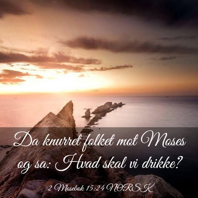 Picture 03 - 2 Mosebok 15:24 NORSK - Da knurret folket mot Moses og sa: Hvad skal vi - Bible Verse Picture