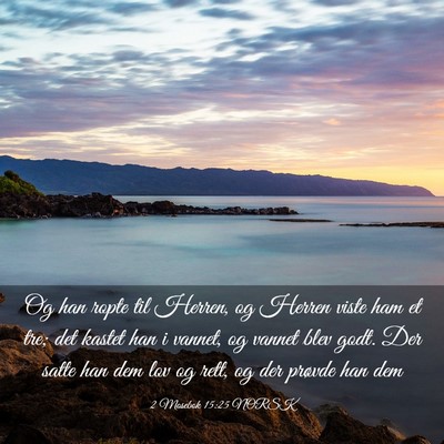 Picture 03 - 2 Mosebok 15:25 NORSK - Og han ropte til Herren, og Herren viste ham et - Bible Verse Picture