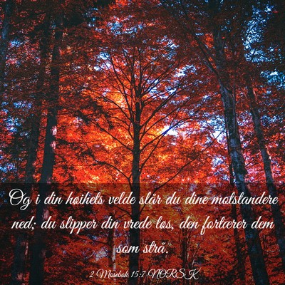 Picture 03 - 2 Mosebok 15:7 NORSK - Og i din høihets velde slår du dine motstandere - Bible Verse Picture