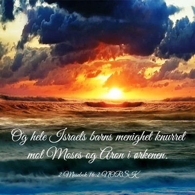 Picture 03 - 2 Mosebok 16:2 NORSK - Og hele Israels barns menighet knurret mot Moses - Bible Verse Picture