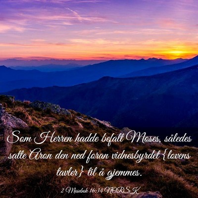 Picture 03 - 2 Mosebok 16:34 NORSK - Som Herren hadde befalt Moses, således satte - Bible Verse Picture