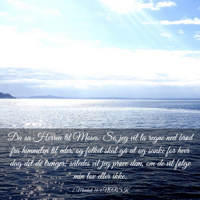 Picture 03 - 2 Mosebok 16:4 NORSK - Da sa Herren til Moses: Se, jeg vil la regne ned - Bible Verse Picture