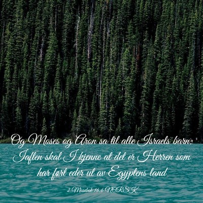 Picture 03 - 2 Mosebok 16:6 NORSK - Og Moses og Aron sa til alle Israels barn: Iaften - Bible Verse Picture
