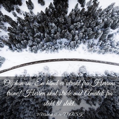 Picture 03 - 2 Mosebok 17:16 NORSK - Og han sa: En hånd er utrakt fra Herrens trone! - Bible Verse Picture