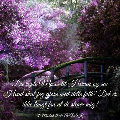 Picture 03 - 2 Mosebok 17:4 NORSK - Da ropte Moses til Herren og sa: Hvad skal jeg - Bible Verse Picture