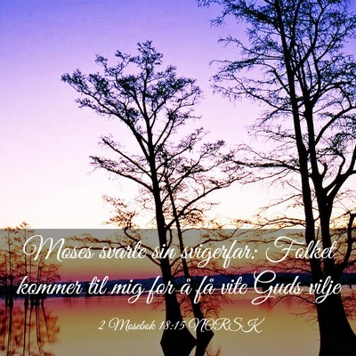 Picture 03 - 2 Mosebok 18:15 NORSK - Moses svarte sin svigerfar: Folket kommer til mig - Bible Verse Picture