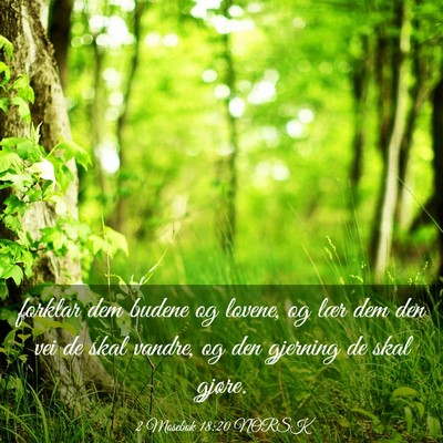 Picture 03 - 2 Mosebok 18:20 NORSK - forklar dem budene og lovene, og lær dem den vei - Bible Verse Picture