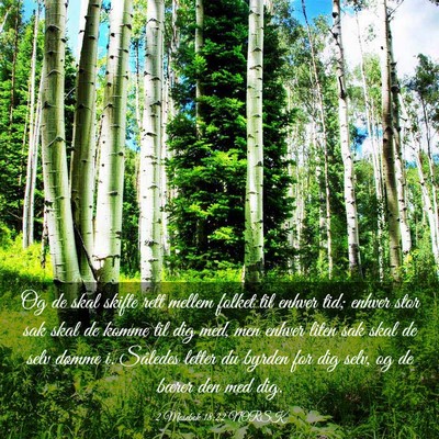 Picture 03 - 2 Mosebok 18:22 NORSK - Og de skal skifte rett mellem folket til enhver - Bible Verse Picture
