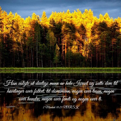 Picture 03 - 2 Mosebok 18:25 NORSK - Han valgte ut duelige menn av hele Israel og - Bible Verse Picture