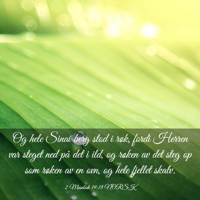 Picture 03 - 2 Mosebok 19:18 NORSK - Og hele Sinai berg stod i røk, fordi Herren var - Bible Verse Picture