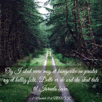 Picture 03 - 2 Mosebok 19:6 NORSK - Og I skal være mig et kongerike av prester og et - Bible Verse Picture