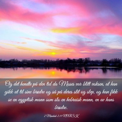 Picture 03 - 2 Mosebok 2:11 NORSK - Og det hendte på den tid da Moses var blitt - Bible Verse Picture