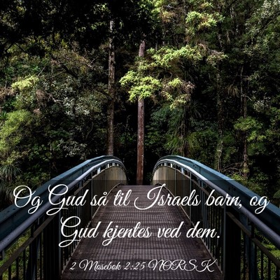 Picture 03 - 2 Mosebok 2:25 NORSK - Og Gud så til Israels barn, og Gud kjentes ved - Bible Verse Picture