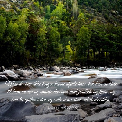 Picture 03 - 2 Mosebok 2:3 NORSK - Men da hun ikke lenger kunne skjule ham, tok hun - Bible Verse Picture