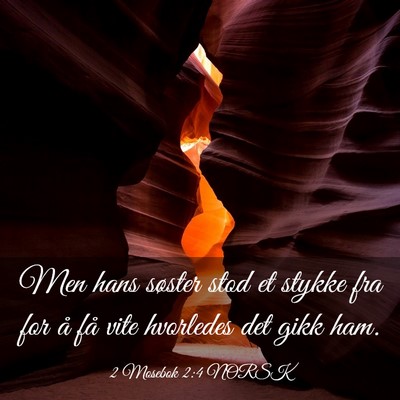 Picture 03 - 2 Mosebok 2:4 NORSK - Men hans søster stod et stykke fra for å få - Bible Verse Picture