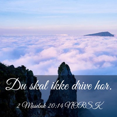 Picture 03 - 2 Mosebok 20:14 NORSK - Du skal ikke drive - Bible Verse Picture