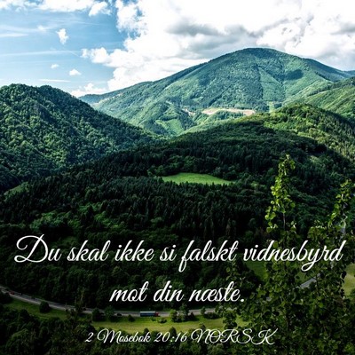 Picture 03 - 2 Mosebok 20:16 NORSK - Du skal ikke si falskt vidnesbyrd mot din - Bible Verse Picture
