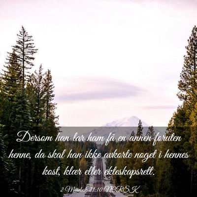 Picture 03 - 2 Mosebok 21:10 NORSK - Dersom han lar ham få en annen foruten henne, da - Bible Verse Picture
