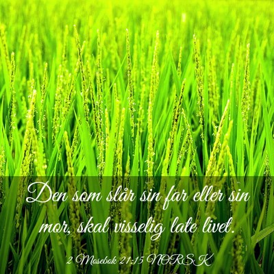 Picture 03 - 2 Mosebok 21:15 NORSK - Den som slår sin far eller sin mor, skal - Bible Verse Picture