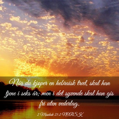 Picture 03 - 2 Mosebok 21:2 NORSK - Når du kjøper en hebraisk træl, skal han tjene - Bible Verse Picture