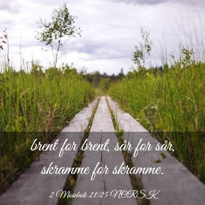 Picture 03 - 2 Mosebok 21:25 NORSK - brent for brent, sår for sår, skramme for - Bible Verse Picture