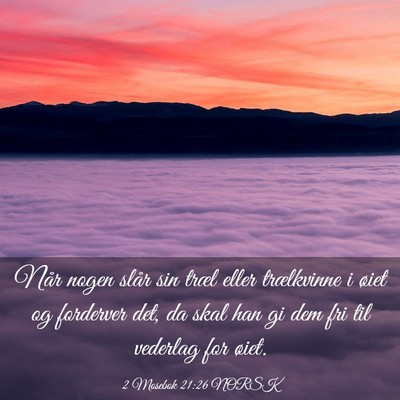Picture 03 - 2 Mosebok 21:26 NORSK - Når nogen slår sin træl eller trælkvinne i - Bible Verse Picture