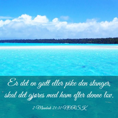 Picture 03 - 2 Mosebok 21:31 NORSK - Er det en gutt eller pike den stanger, skal det - Bible Verse Picture