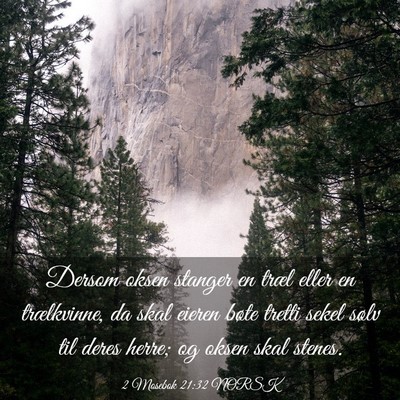 Picture 03 - 2 Mosebok 21:32 NORSK - Dersom oksen stanger en træl eller en - Bible Verse Picture