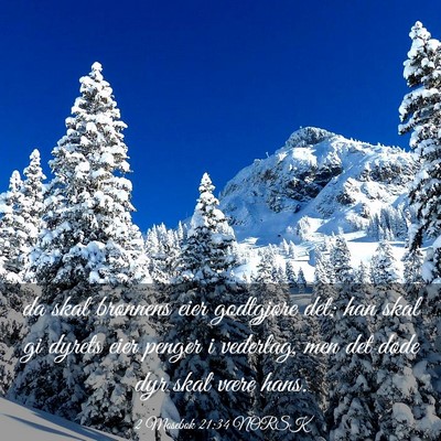 Picture 03 - 2 Mosebok 21:34 NORSK - da skal brønnens eier godtgjøre det; han skal - Bible Verse Picture