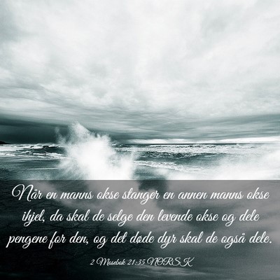 Picture 03 - 2 Mosebok 21:35 NORSK - Når en manns okse stanger en annen manns okse - Bible Verse Picture