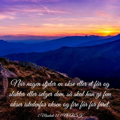 Picture 03 - 2 Mosebok 22:1 NORSK - Når nogen stjeler en okse eller et får og - Bible Verse Picture
