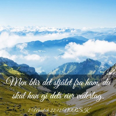 Picture 03 - 2 Mosebok 22:12 NORSK - Men blir det stjålet fra ham, da skal han gi - Bible Verse Picture