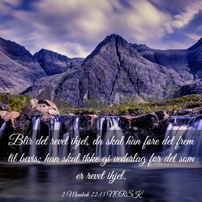 Picture 03 - 2 Mosebok 22:13 NORSK - Blir det revet ihjel, da skal han føre det frem - Bible Verse Picture