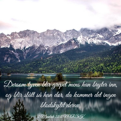 Picture 03 - 2 Mosebok 22:2 NORSK - Dersom tyven blir grepet mens han bryter inn, og - Bible Verse Picture