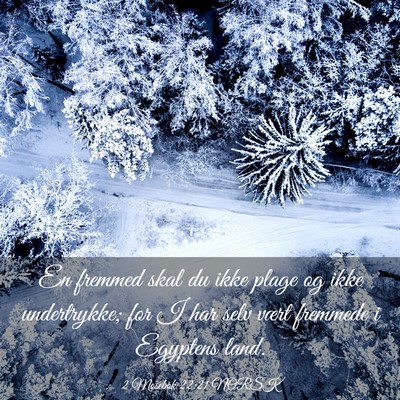 Picture 03 - 2 Mosebok 22:21 NORSK - En fremmed skal du ikke plage og ikke - Bible Verse Picture
