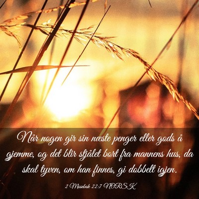 Picture 03 - 2 Mosebok 22:7 NORSK - Når nogen gir sin næste penger eller gods å - Bible Verse Picture
