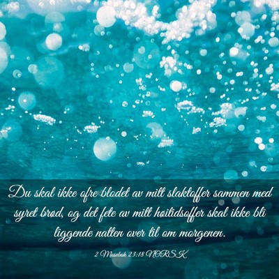 Picture 03 - 2 Mosebok 23:18 NORSK - Du skal ikke ofre blodet av mitt slaktoffer - Bible Verse Picture