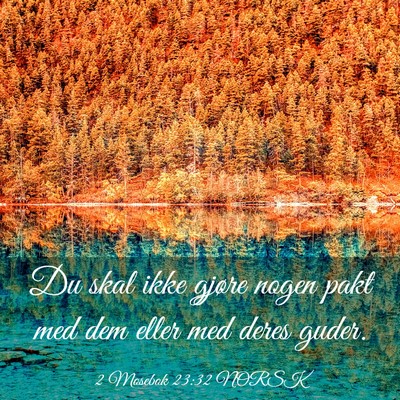 Picture 03 - 2 Mosebok 23:32 NORSK - Du skal ikke gjøre nogen pakt med dem eller med - Bible Verse Picture
