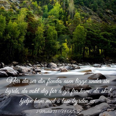 Picture 03 - 2 Mosebok 23:5 NORSK - Når du ser din fiendes asen ligge under sin - Bible Verse Picture