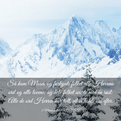 Picture 03 - 2 Mosebok 24:3 NORSK - Så kom Moses og forkynte folket alle Herrens ord - Bible Verse Picture