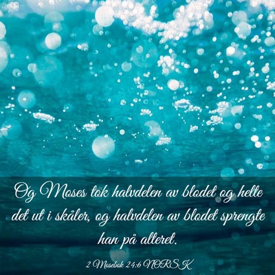 Picture 03 - 2 Mosebok 24:6 NORSK - Og Moses tok halvdelen av blodet og helte det ut - Bible Verse Picture