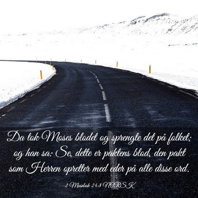 Picture 03 - 2 Mosebok 24:8 NORSK - Da tok Moses blodet og sprengte det på folket; - Bible Verse Picture