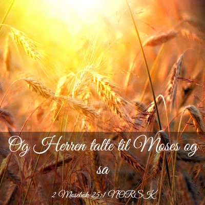 Picture 03 - 2 Mosebok 25:1 NORSK - Og Herren talte til Moses og - Bible Verse Picture