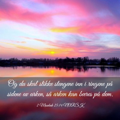 Picture 03 - 2 Mosebok 25:14 NORSK - Og du skal stikke stengene inn i ringene på - Bible Verse Picture