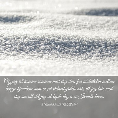 Picture 03 - 2 Mosebok 25:22 NORSK - Og jeg vil komme sammen med dig der; fra - Bible Verse Picture