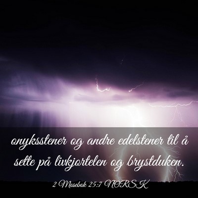 Picture 03 - 2 Mosebok 25:7 NORSK - onyksstener og andre edelstener til å sette på - Bible Verse Picture