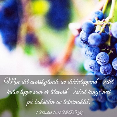 Picture 03 - 2 Mosebok 26:12 NORSK - Men det overskytende av dekketeppene(-)det halve - Bible Verse Picture