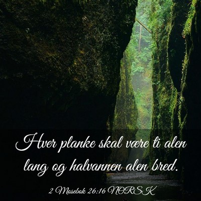Picture 03 - 2 Mosebok 26:16 NORSK - Hver planke skal være ti alen lang og halvannen - Bible Verse Picture
